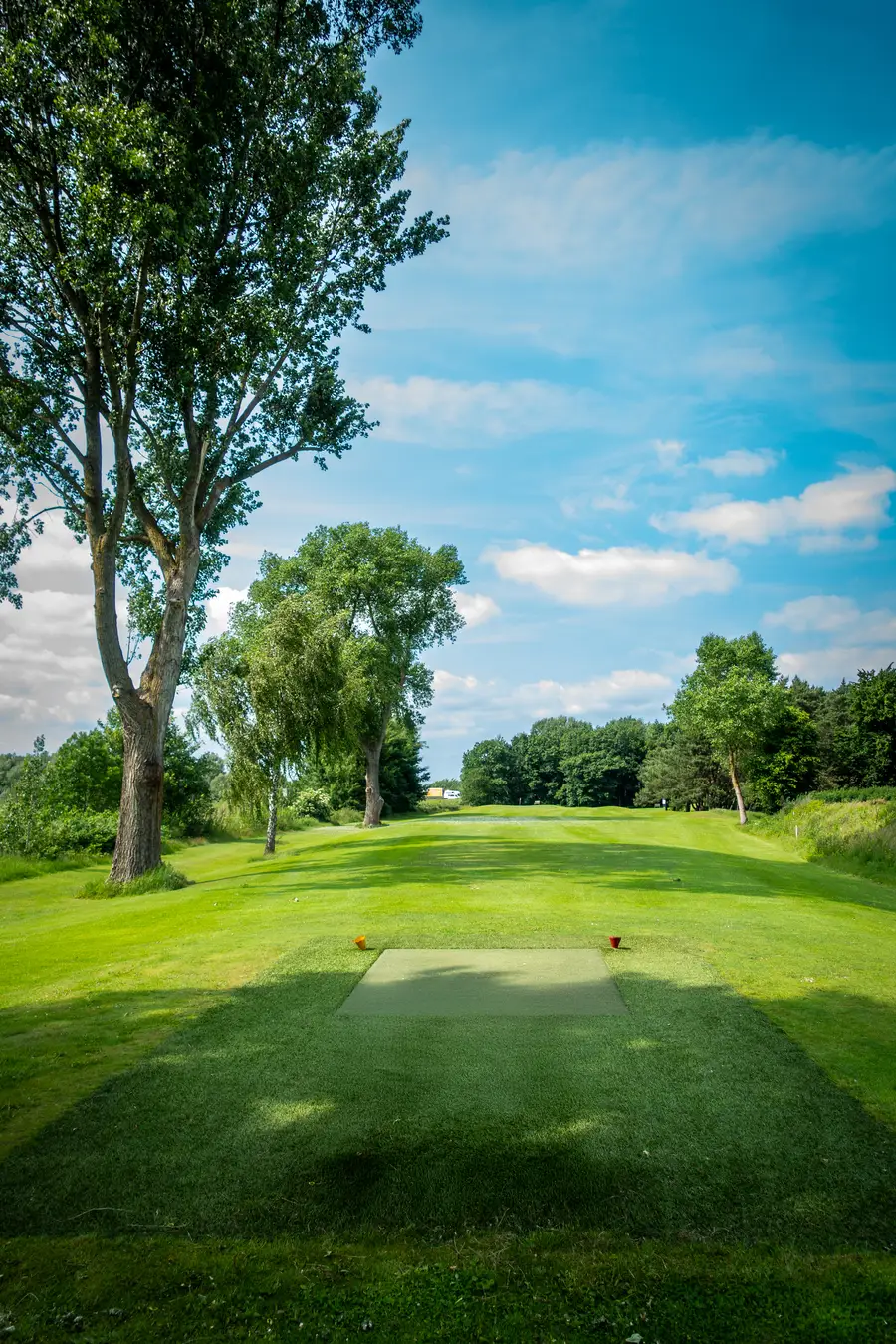 6-Loch Kurzplatz im Golf Lounge Resort Hamburg – Fairway mit Abschlagmatte